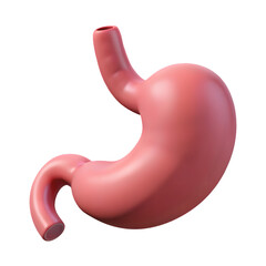 Realistic 3d rendering of a human stomach on a black background