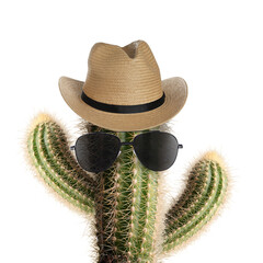 Cactus with sunglasses and hat against white background