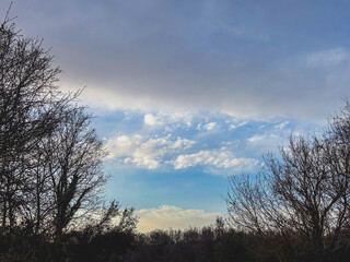 A Dramatic Sky with Clearing Clouds Framed by Silhouetted Bare Trees