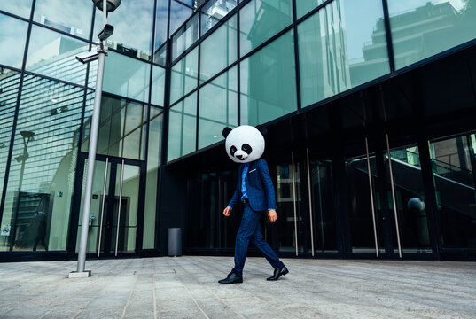 Storytelling image of a business man wearing a giant panda head