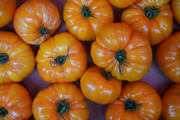Crate of colorful organic heirloom tomatoes at the farmers market in Provence, France
