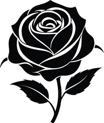 rose vector illustration
