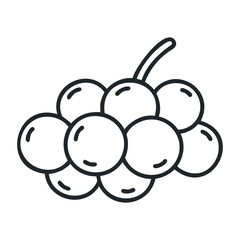 Simple black and white grapes outline with stem on white background. Vector illustration