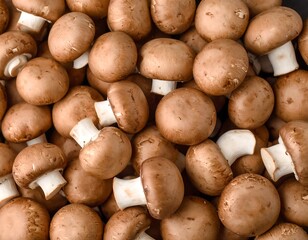 Brown button mushrooms close-up