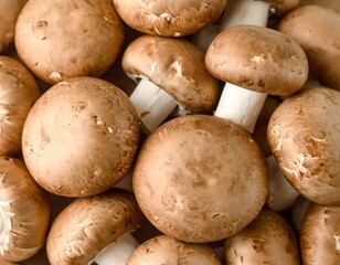 Brown mushrooms close-up (1)