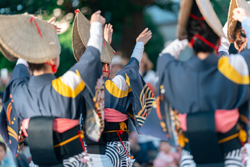 阿波踊り