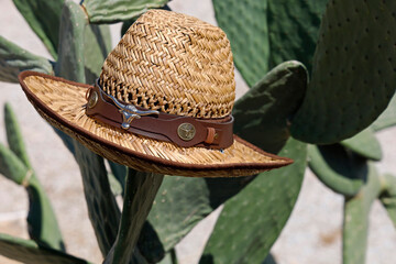 Straw cowboy hat with bull's head hanging in an Opuntia ficus-indica cactus, lightweight, stylish headwear for protection from the summer sun