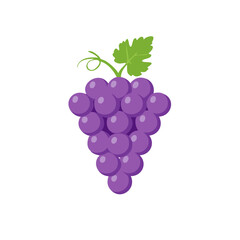 Bunch of Purple Grapes with Green Leaf - Fresh Fruit Illustration