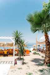 Palm trees and wooden sunbeds create a relaxing beach atmosphere on a beautiful summer day, inviting visitors to unwind and enjoy the serene coastal scenery. Thasos island. Greece.