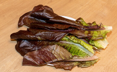 Close up shot of the red leaf lettuce. Food