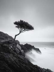 Monochrome landscape of a solitary tree perched atop a rocky cliff, defying the misty sea. Evokes resilience, strength, and natures raw power. Serene, atmospheric.