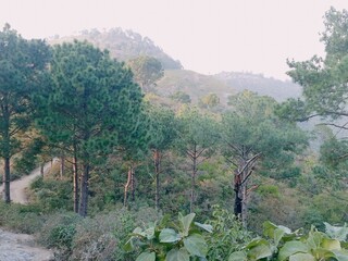 Margala Hills Trail 3 Track