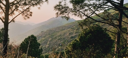 Mountain view from green forest on Hills