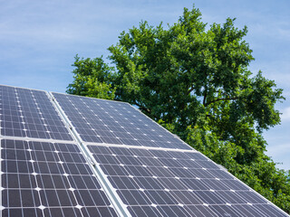 Close-up of solar panels in bright sunlight with a green leafy tree and blue sky in the background,...