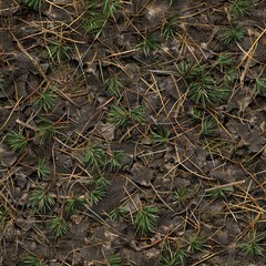 Fototapeta premium Close-up view of forest ground with green pine sprouts and dry brown leaves and twigs