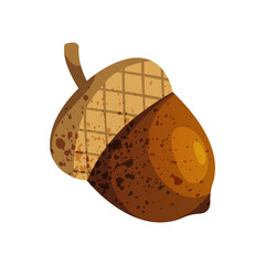 Acorn vector icon. Oak tree seed or autumn nature clipart. Symbol for nature and fall wood, forest and botany, biology. Woodland harvest and wildlife food, countryside flora or wild ecology. Seasonal.