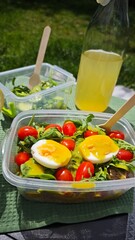 Fresh tuna salad with cherry tomatoes, arugula and soft-boiled egg in plastic container on picnic table