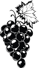 A black and white illustration of a bunch of grapes with a large leaf at the top of the image