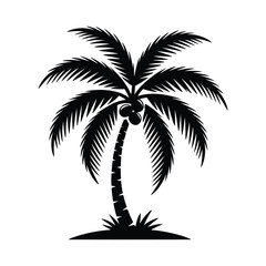Obraz premium Black silhouette of a palm tree with coconuts isolated on white background silhouette