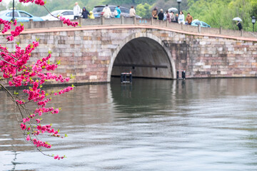 West Lake, Hangzhou. China. Bright pink spring blossoms in Spring and a stone bridge.