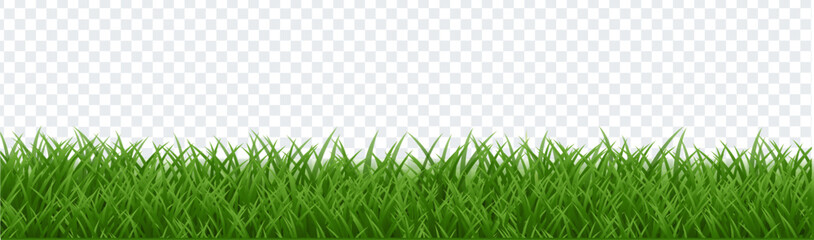 Green Grass Frame Isolated Transparent Background