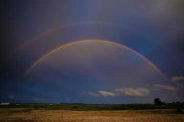 Naklejka premium Colorful rainbow arches over a lush field during a dramatic sky at sunset after a rainstorm in a rural landscape