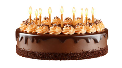 Chocolate cake with candles