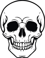 A black and white illustration of a skull with detailed teeth and eye sockets on a plain background