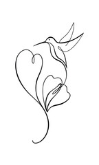 Hummingbird in continuous line art feeding from heart shaped flower nature