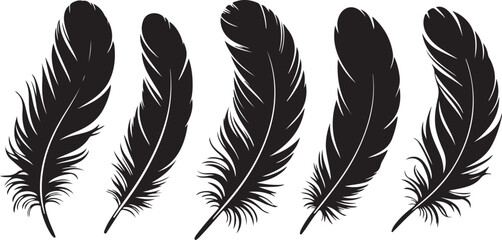 Obraz premium Feather vector illustration set with isolated bird quills and artistic design elements