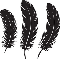 Obraz premium Feather vector illustration set with isolated bird quills and artistic design elements