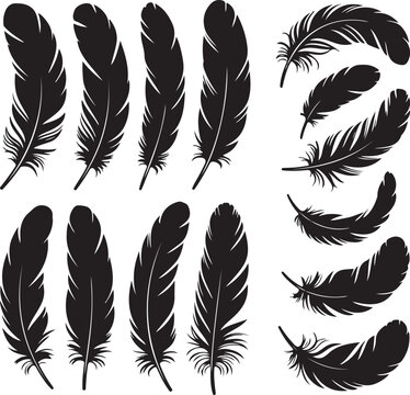 Bird Feather silhouette vector set. bird feather vector illustration icon isolated on white background