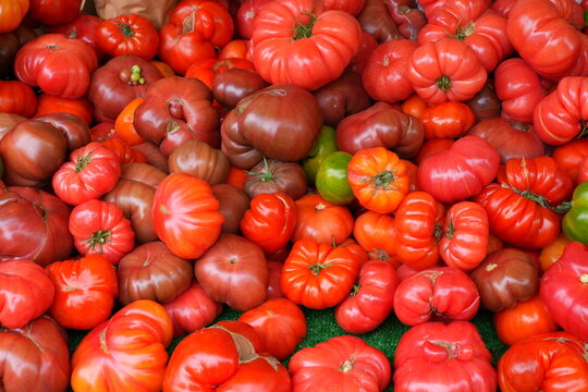 Crate of colorful organic heirloom tomatoes at the farmers market in Provence, France
