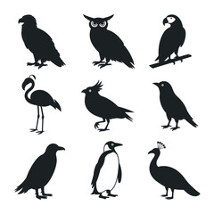 A Diverse Avian Collection Featuring Majestic Eagles Wise Owls Colorful Parrots Elegant Flamingos Unique Cockatoos Common Crows Playful Penguins and Regal Peacocks in Silhouette