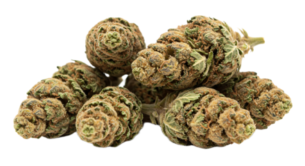 Marijuana Buds Isolated on Transparent Background