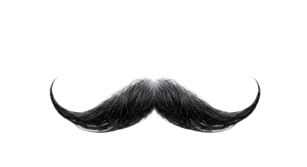 Black Mustache Flat Art Isolated on White Background