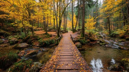 Wooden Bridge Over Stream in Autumn Forest