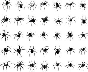Spider Silhouette Vector Set Halloween Creepy Insect Clipart, Black Spider PNG for Scary Design .