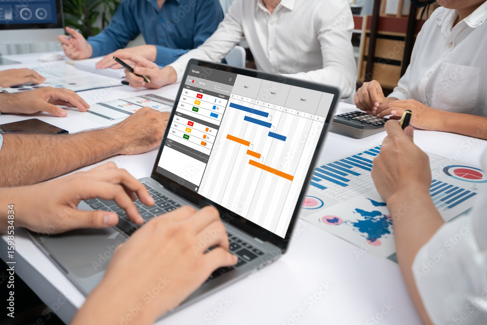Poster project planning software for brisk business project management on the computer screen showing timel