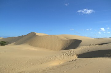 The Paraguaná Peninsula and Médanos de Coro National Park offer a fascinating combination of desert landscapes, coastal ecosystems, and historical significance.