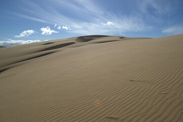 The Paraguaná Peninsula and Médanos de Coro National Park offer a fascinating combination of desert landscapes, coastal ecosystems, and historical significance.