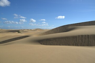 The Paraguaná Peninsula and Médanos de Coro National Park offer a fascinating combination of desert landscapes, coastal ecosystems, and historical significance.