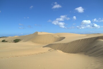 The Paraguaná Peninsula and Médanos de Coro National Park offer a fascinating combination of desert landscapes, coastal ecosystems, and historical significance.