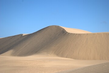 The Paraguaná Peninsula and Médanos de Coro National Park offer a fascinating combination of desert landscapes, coastal ecosystems, and historical significance.