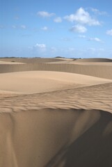 The Paraguaná Peninsula and Médanos de Coro National Park offer a fascinating combination of desert landscapes, coastal ecosystems, and historical significance.