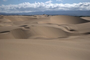 The Paraguaná Peninsula and Médanos de Coro National Park offer a fascinating combination of desert landscapes, coastal ecosystems, and historical significance.