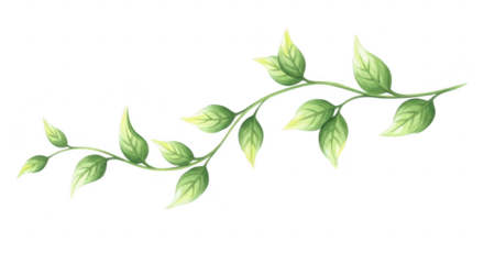 A watercolor branch with green leaves is isolated on transparent background
