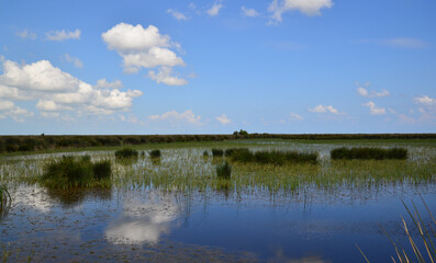 A view from the Kizilirmak Delta Bird Sanctuary in Bafra, Samsun, Turkey.