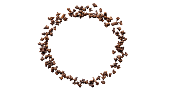 spice in shape circle on white background