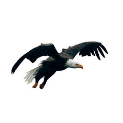 A majestic bald eagle in flight against a dark background with its wings fully extended and talons...